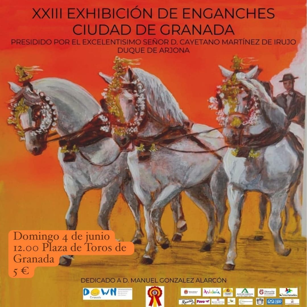 Cartel de la Exhibición de Enganches a beneficio de Granadown